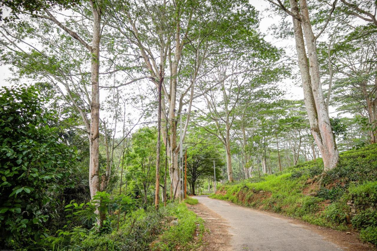 Tranquilisle Hotel Kandy Ngoại thất bức ảnh