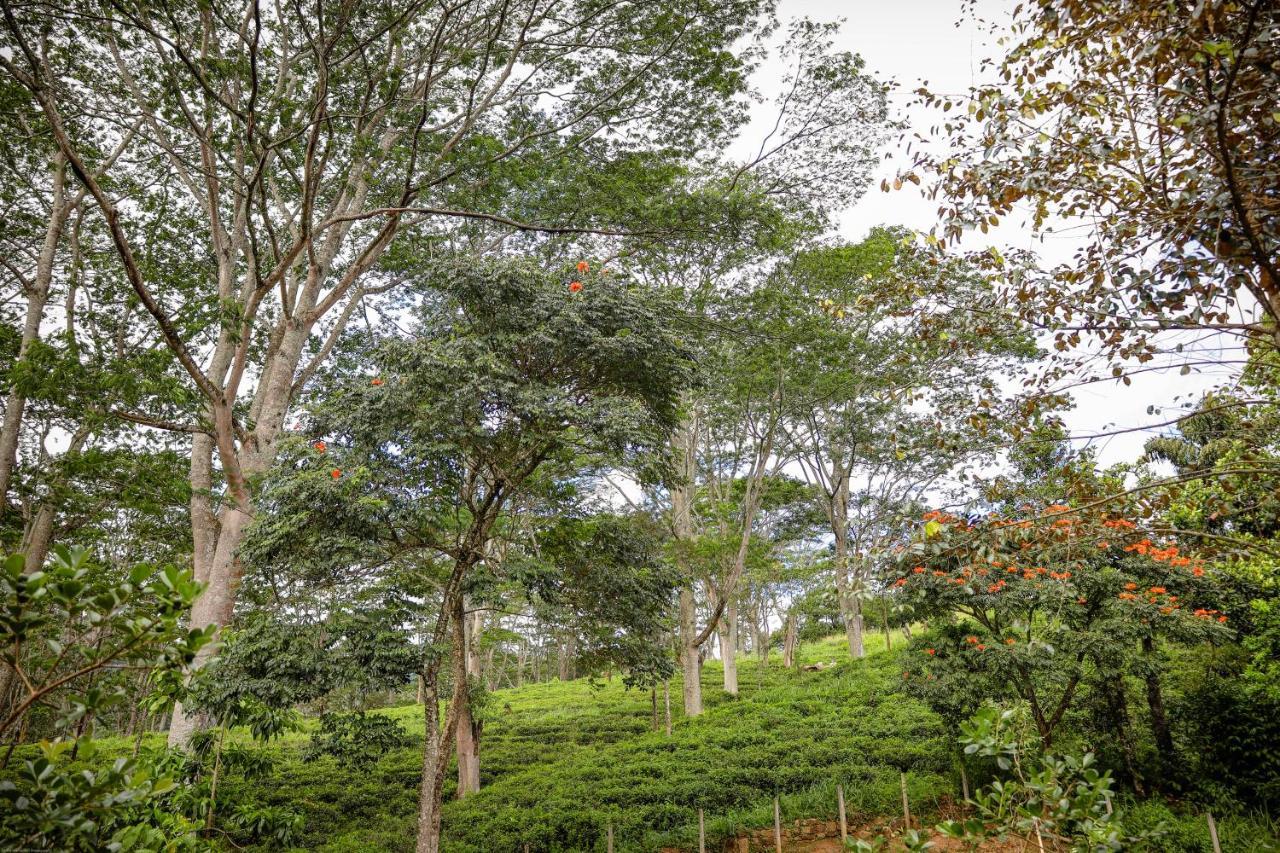 Tranquilisle Hotel Kandy Ngoại thất bức ảnh