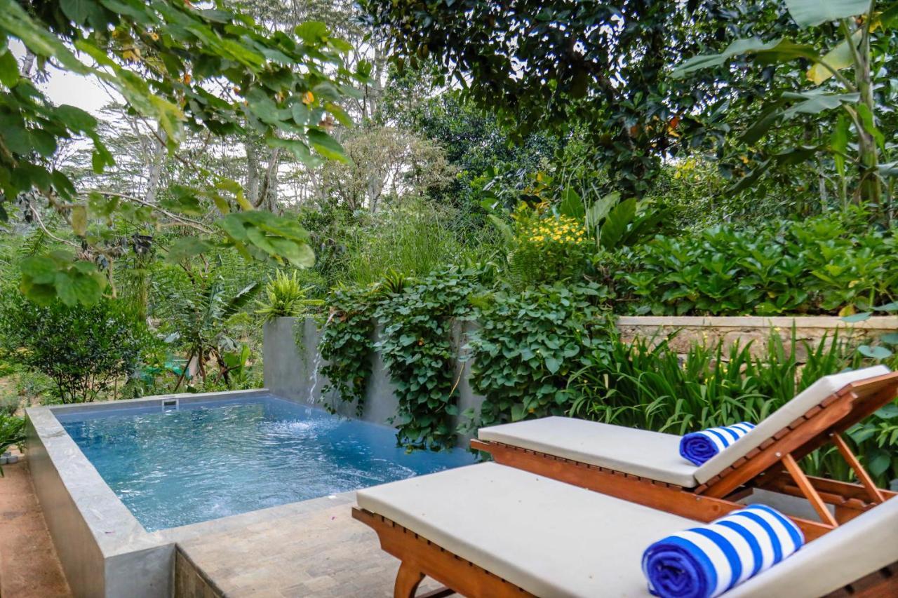 Tranquilisle Hotel Kandy Ngoại thất bức ảnh